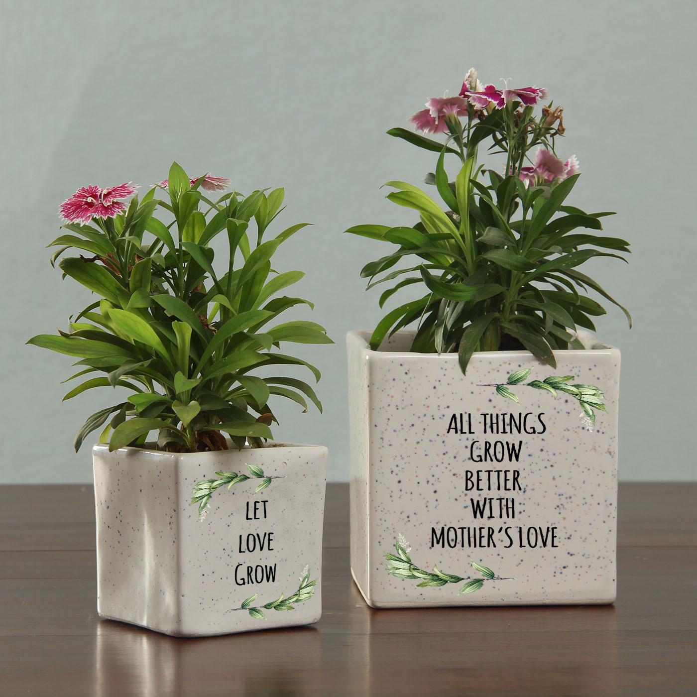 Personalized Ceramic Planters set for Mom