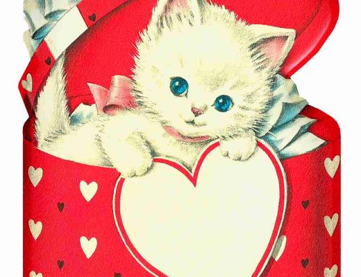 Is Gifting Necessary in Valentine's Week?