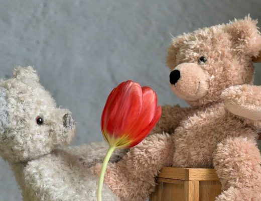 Why Teddy Bears Make a Best Valentine Gift