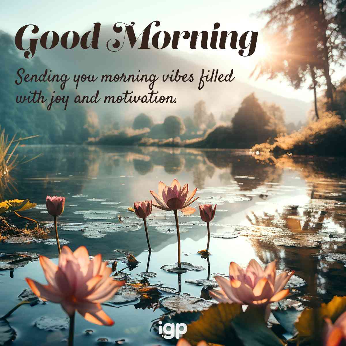 positive morning quote image