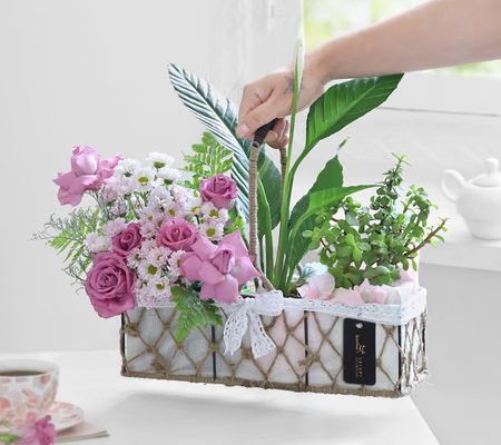 Best Indoor Plants to Help With Allergies