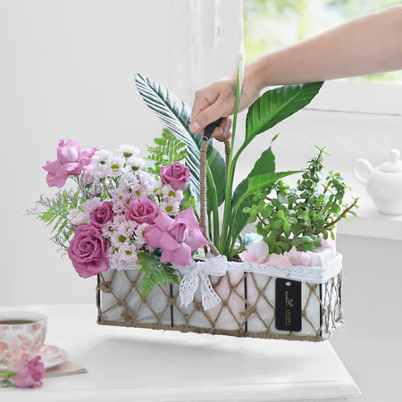 Best Indoor Plants to Help With Allergies