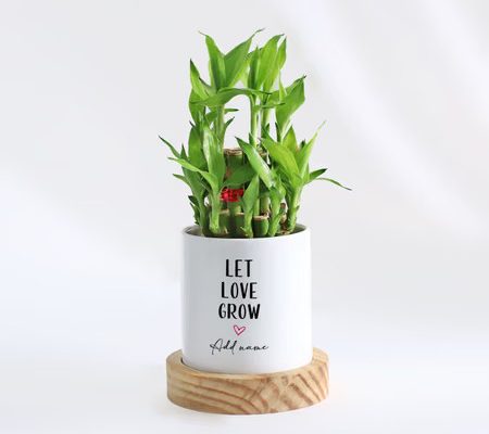 eco-friendly anniversary gifts